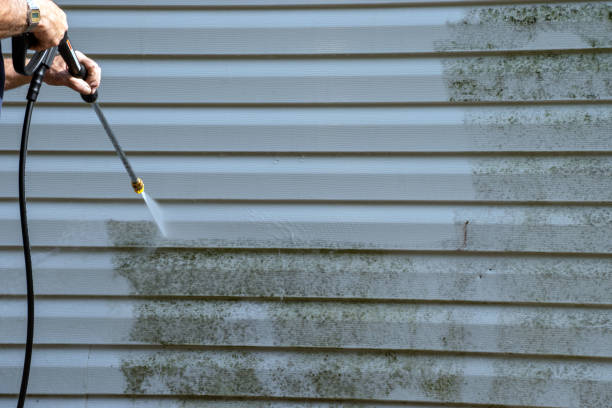 Best Engineered Wood Siding  in Ruston, LA